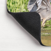Great Blue Heron Mousepad (Ecke)