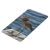 Great Blue Heron Nah Up Magnet (Linke Seite)