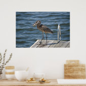 Great Blue Heron Nah Up Poster (Küche)