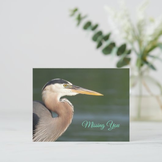 Great Blue Heron Nah Up Poster Postkarte (Stehend Vorderseite)