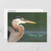 Great Blue Heron Nah Up Poster Postkarte (Vorne/Hinten)