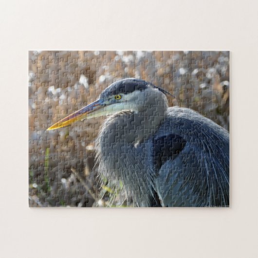 Great Blue Heron Nah UP! Puzzle (Horizontal)
