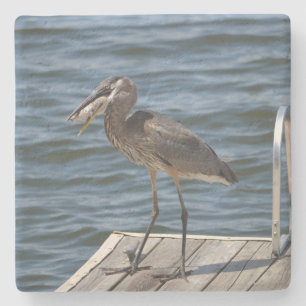 Great Blue Heron Nah Up Steinuntersetzer