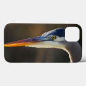 Great Blue Heron, nahes Portrait Case-Mate iPhone Hülle (Rückseite (Horizontal))