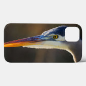 Great Blue Heron, nahes Portrait Case-Mate iPhone Hülle (Rückseite (Horizontal))