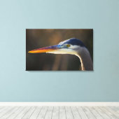 Great Blue Heron, nahes Portrait Leinwanddruck (Insitu (Holzboden))