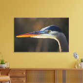 Great Blue Heron, nahes Portrait Leinwanddruck (Insitu (Wohnzimmer))