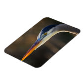 Great Blue Heron, nahes Portrait Magnet (Linke Seite)