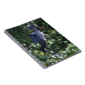Great Blue Heron Notebook Notizblock (Rechte Seite)