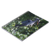 Great Blue Heron Notebook Notizblock (Linke Seite)