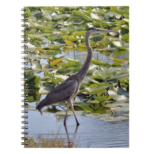 Great Blue Heron Notebook Notizblock (Vorderseite)