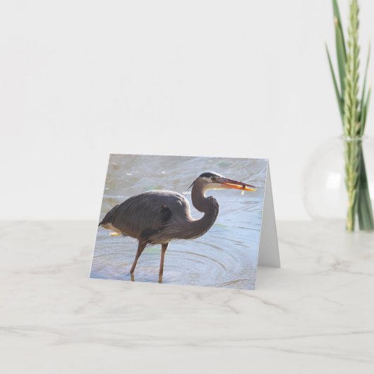Great Blue Heron Notecard Karte (Vorderseite)