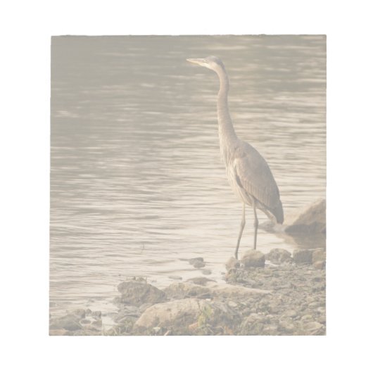 Great Blue Heron Notizblock (Vorderseite)
