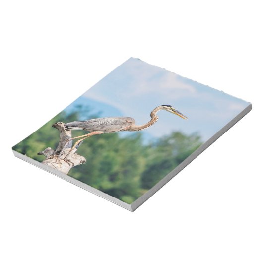 Great Blue Heron Notizblock (Rotiert)