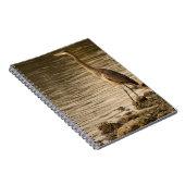 Great Blue Heron Notizblock (Rechte Seite)