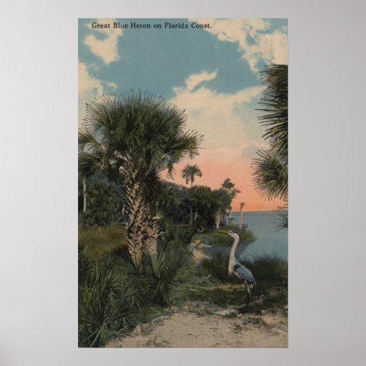 Great Blue Heron on Florida Coast Beach Poster (Vorne)