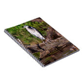 Great Blue Heron on Log Foto Notebook Journal Notizblock (Rechte Seite)