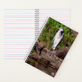 Great Blue Heron on Log Foto Notebook Journal Notizblock (Innen)
