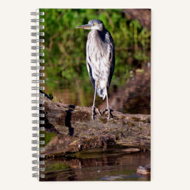 Great Blue Heron on Log Foto Notebook Journal Notizblock