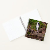 Great Blue Heron on Log Foto Notebook Journal Notizblock (Innenseite)
