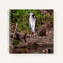 Great Blue Heron on Log Foto Notebook Journal Notizblock