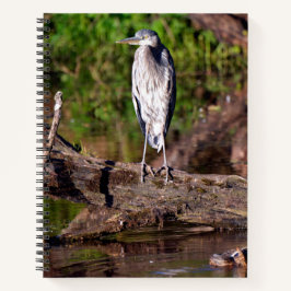 Great Blue Heron on Log Foto Notebook Journal Notizblock