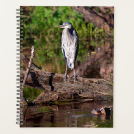 Great Blue Heron on Log Foto Planner Planer