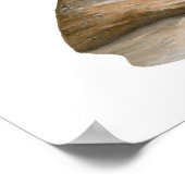 Great Blue Heron on Rock Poster (Ecke)