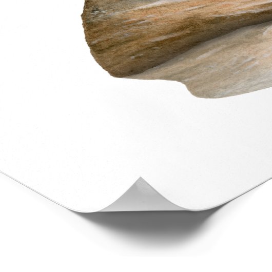 Great Blue Heron on Rock Poster (Ecke)