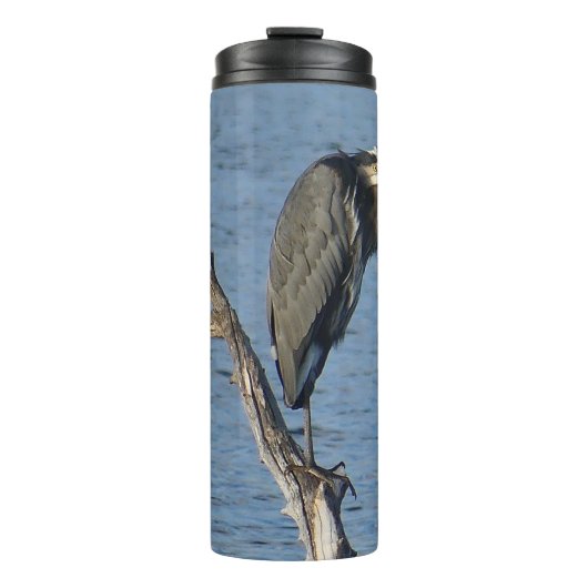 Great Blue Heron on Tree Limb Thermal Tumbler Thermosbecher (Vorderseite)
