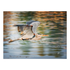 Great Blue Heron Over Lake Wildlife Print Fotodruck