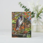 Great Blue Heron Postcard Postkarte (Stehend Vorderseite)