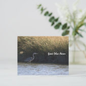 Great Blue Heron Postcard Postkarte (Stehend Vorderseite)