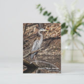 Great Blue Heron Postcard Postkarte (Stehend Vorderseite)