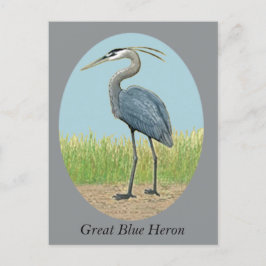 Great Blue Heron Postcard Postkarte
