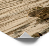 Great Blue Heron Poster (Ecke)