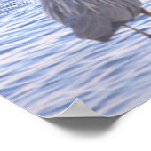 Great Blue Heron Poster (Ecke)