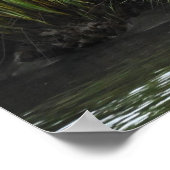 Great Blue Heron Poster (Ecke)