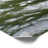 Great Blue Heron Poster (Ecke)