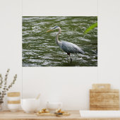 Great Blue Heron Poster (Küche)