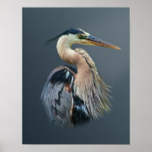 Great Blue Heron Poster (Vorne)