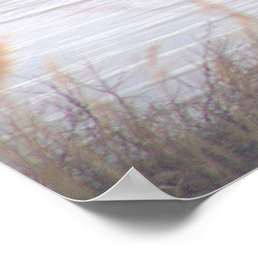 Great Blue Heron Poster (Ecke)