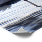 Great Blue Heron Poster (Ecke)