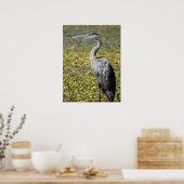 Great Blue Heron Poster (Küche)