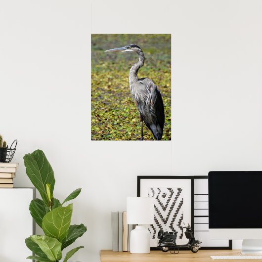 Great Blue Heron Poster (Heimbüro)