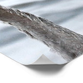 Great Blue Heron Poster (Ecke)