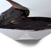 Great Blue Heron Poster (Ecke)