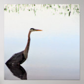 Great Blue Heron Poster (Vorne)