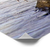 Great Blue Heron Poster (Ecke)