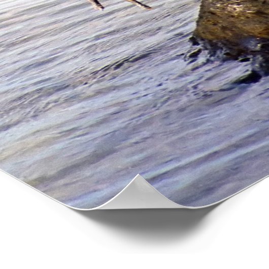 Great Blue Heron Poster (Ecke)